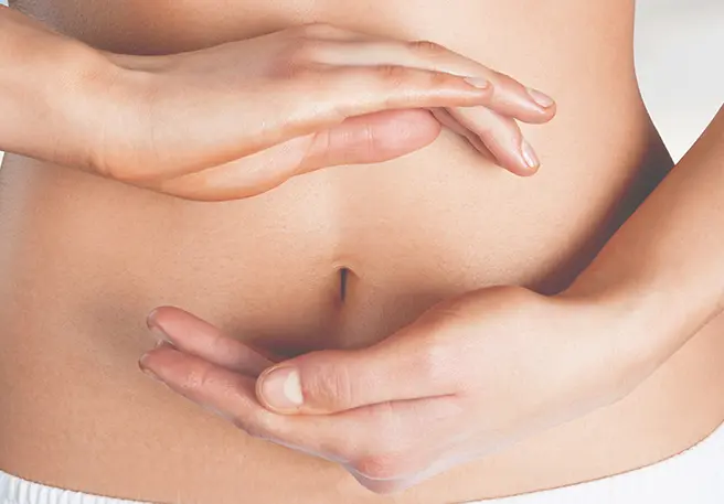 Präbiotika fördern Bakterien im Dickdarm 