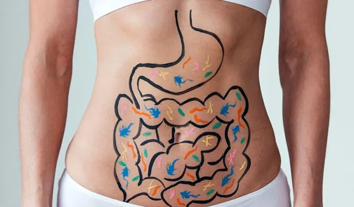 Probiotika für den Darm 